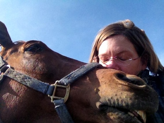 Upper level dressage and event prospect for sale. 