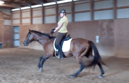 I thought we were still trotting but evidently not. 