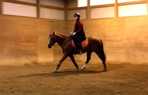 Doing big trot/little trot with Tuck