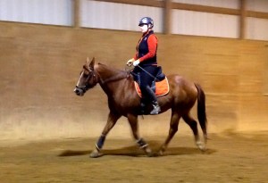 Working with my little buddy Tucker