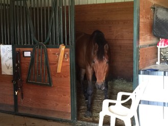 Such a stellar patient.