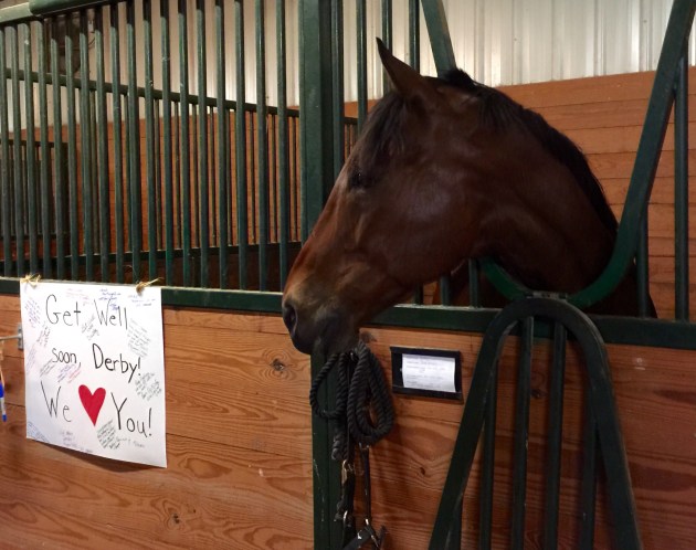 Admiring his get well card
